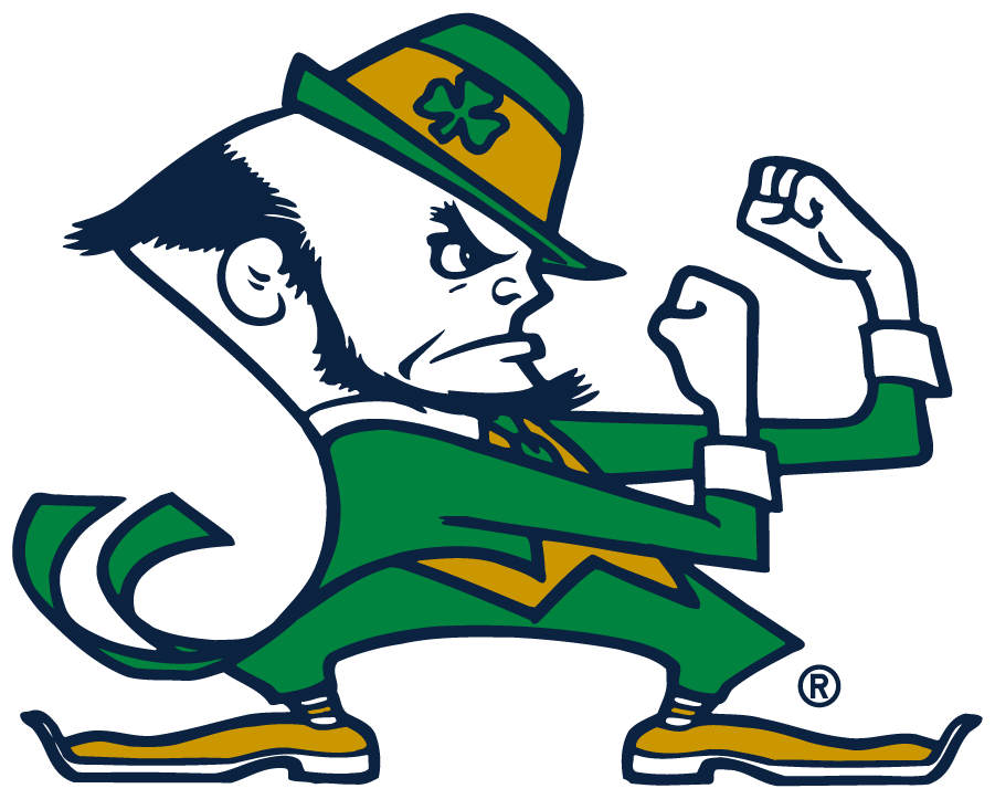 Notre Dame Fighting Irish 2015-Pres Secondary Logo v6 t shirts iron on transfers
